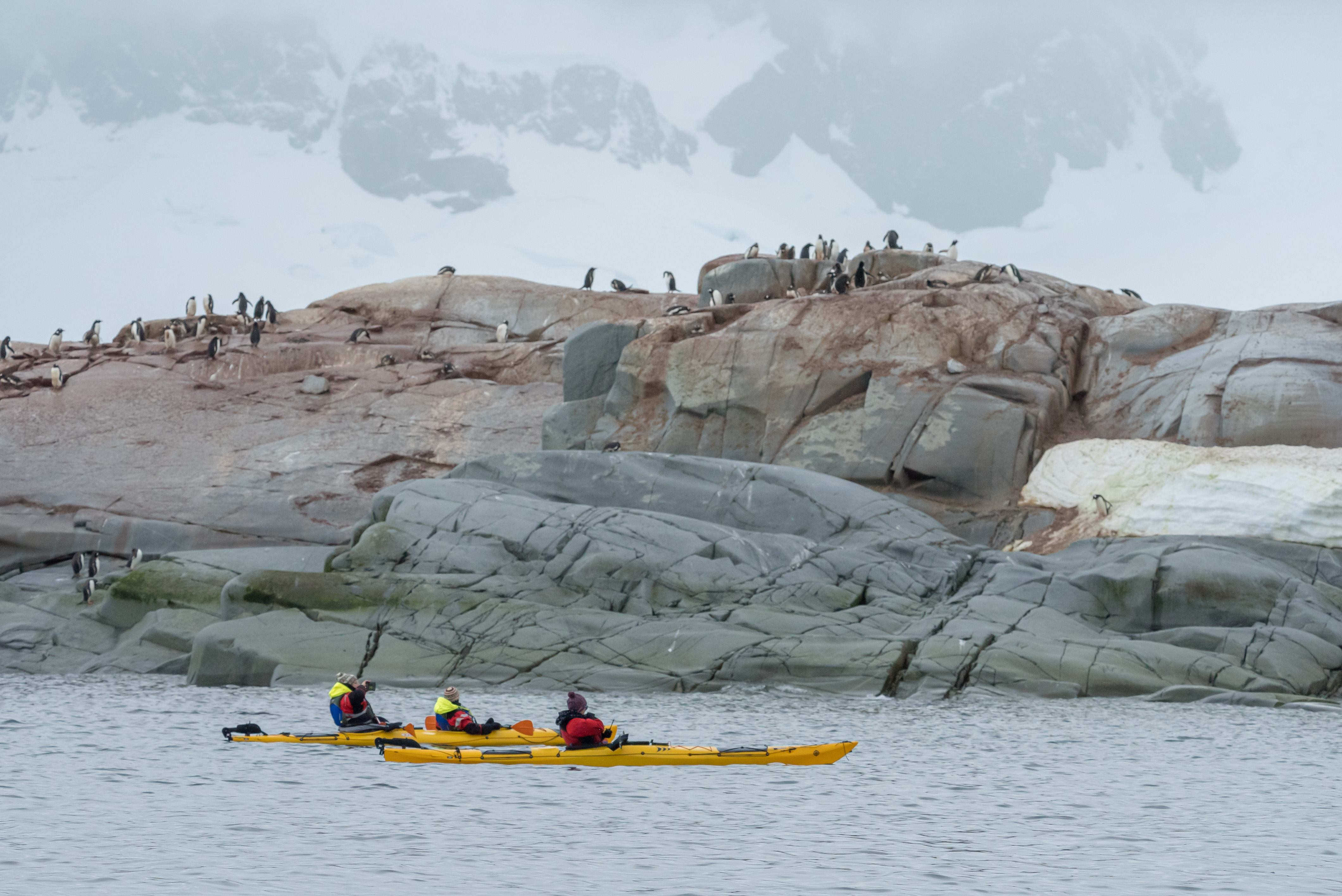 Excursions on SH Diana